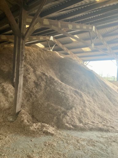 Miscanthus en vrac Miscanthus en vrac